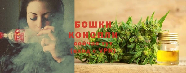 экстази Гусь-Хрустальный