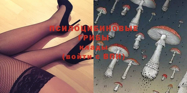 кристаллы Гусев