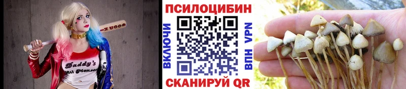 Псилоцибиновые грибы мухоморы  Купить  Бобров 